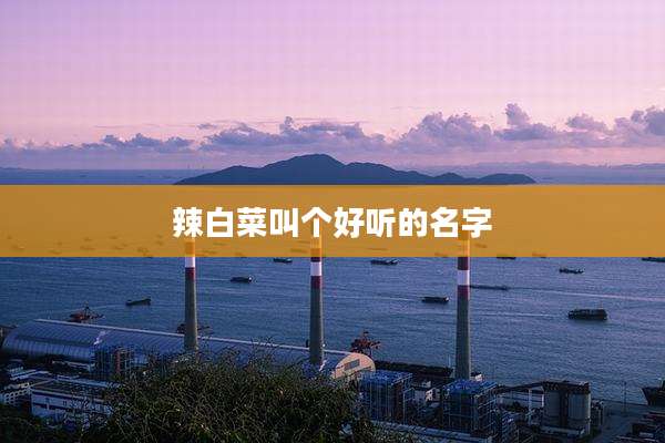 辣白菜叫个好听的名字