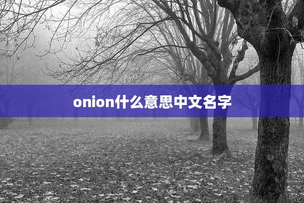 onion什么意思中文名字