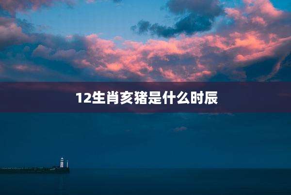 12生肖亥猪是什么时辰