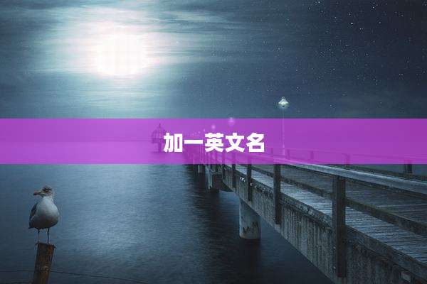 加一英文名
