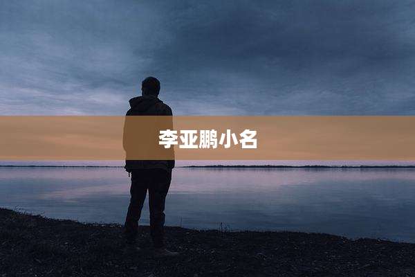 李亚鹏小名