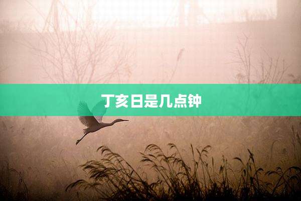 丁亥日是几点钟