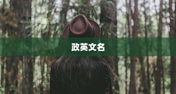 政英文名