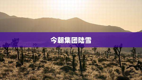 今朝集团陆雪