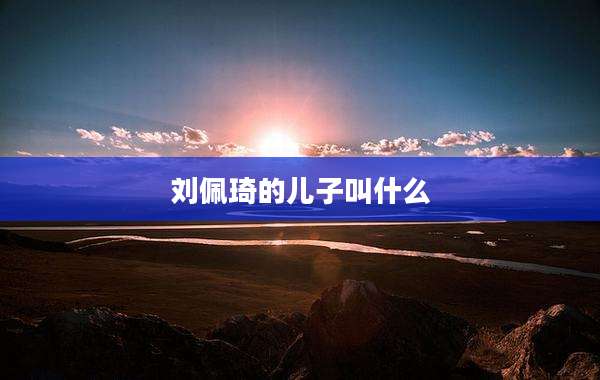 刘佩琦的儿子叫什么