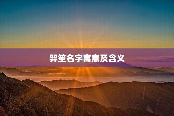 羿笙名字寓意及含义