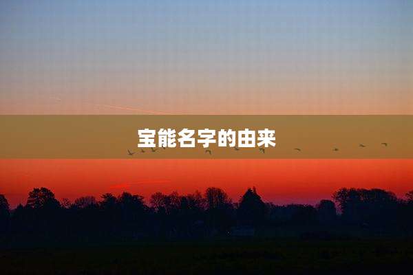 宝能名字的由来