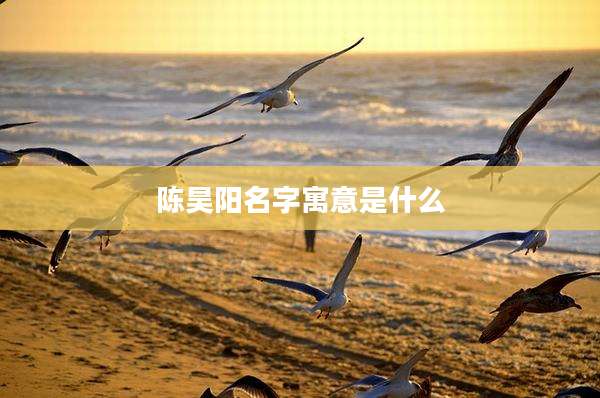 陈昊阳名字寓意是什么