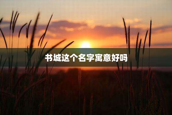 书城这个名字寓意好吗