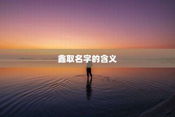 鑫取名字的含义