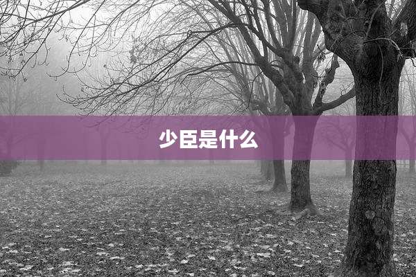 少臣是什么