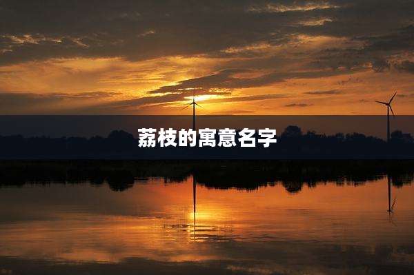 荔枝的寓意名字