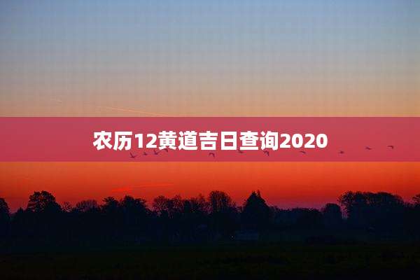 农历12黄道吉日查询2020