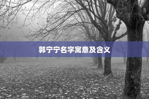 郭宁宁名字寓意及含义