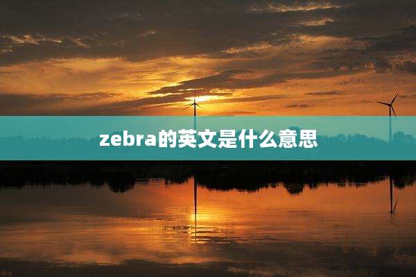 zebra的英文是什么意思