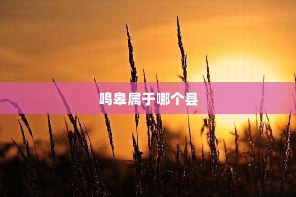 鸣皋属于哪个县