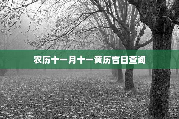 农历十一月十一黄历吉日查询