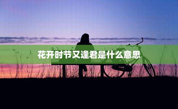 花开时节又逢君是什么意思