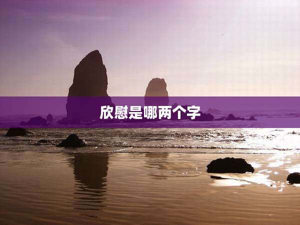 欣慰是哪两个字