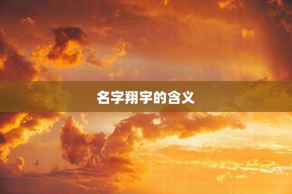 名字翔宇的含义