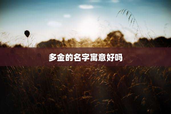 多金的名字寓意好吗