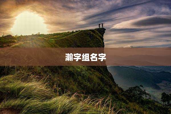 瀚字组名字