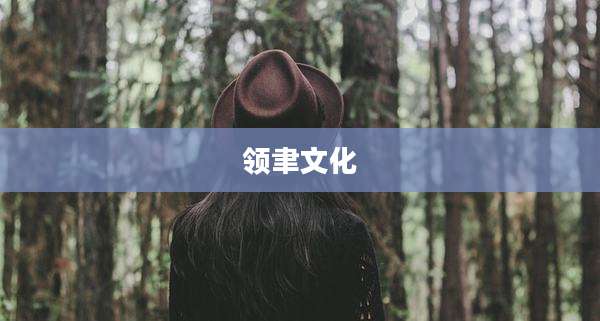 领聿文化