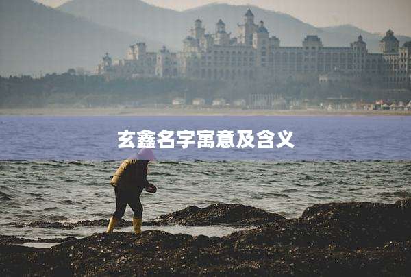 玄鑫名字寓意及含义