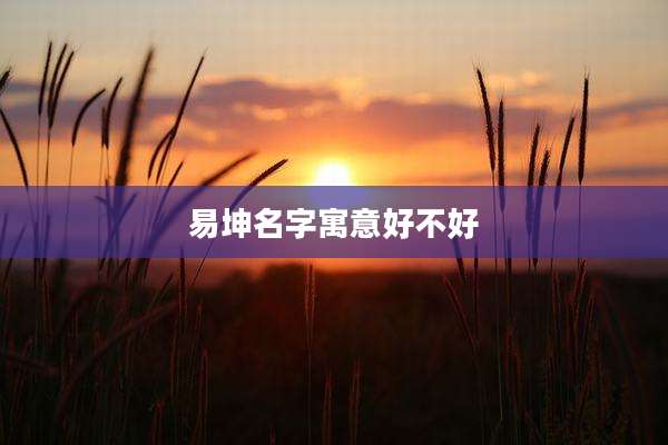 易坤名字寓意好不好