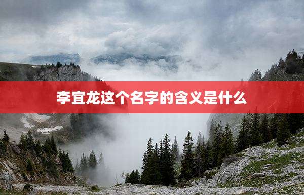 李宜龙这个名字的含义是什么