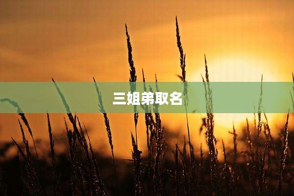 三姐弟取名