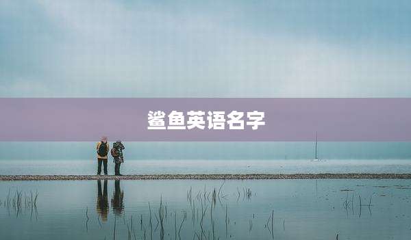 鲨鱼英语名字