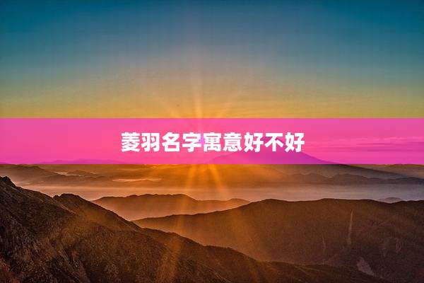 菱羽名字寓意好不好