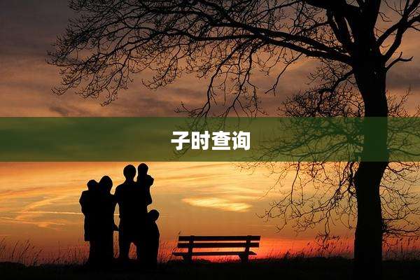 子时查询