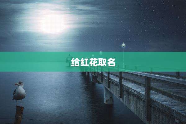 给红花取名