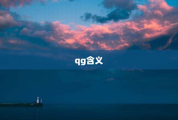 qg含义