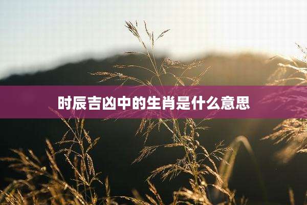 时辰吉凶中的生肖是什么意思