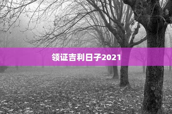 领证吉利日子2021