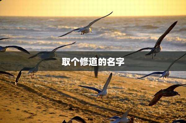 取个修道的名字