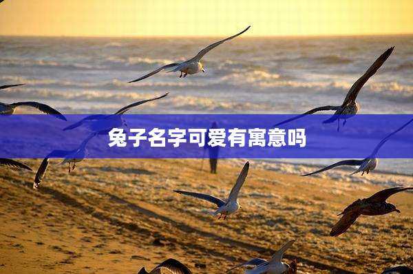 兔子名字可爱有寓意吗