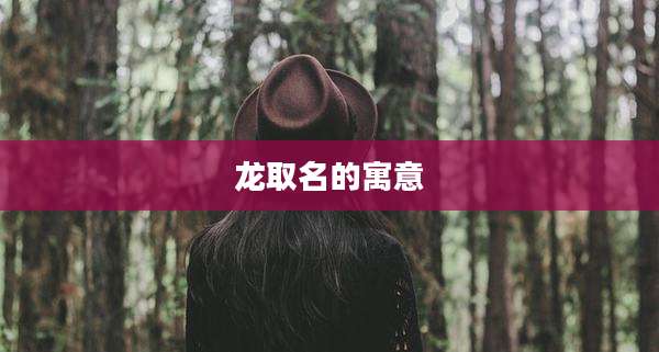 龙取名的寓意