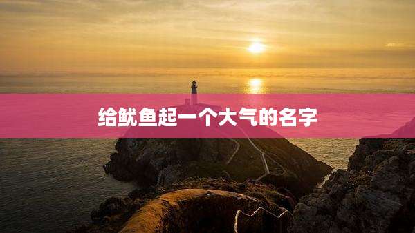 给鱿鱼起一个大气的名字