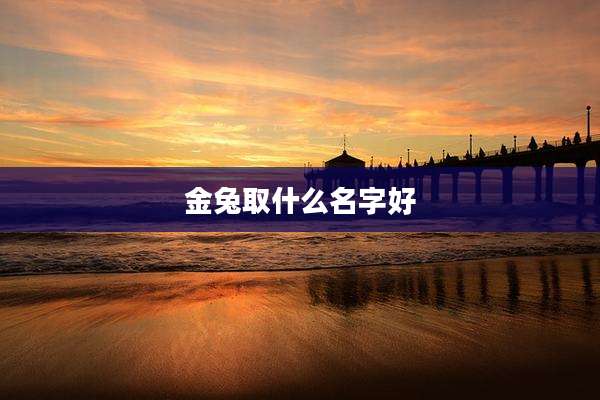 金兔取什么名字好