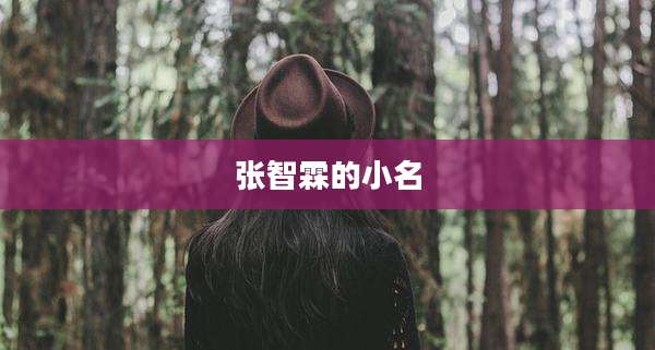 张智霖的小名