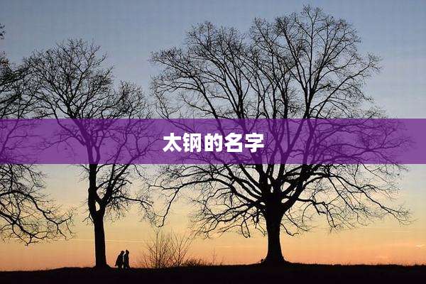 太钢的名字