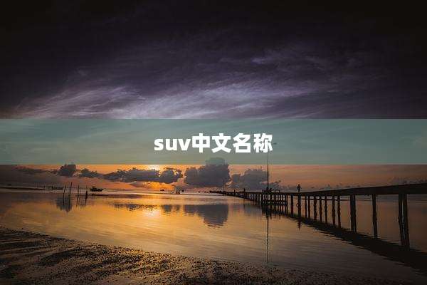 suv中文名称
