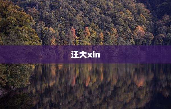 汪大xin