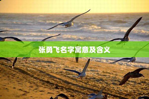 张勇飞名字寓意及含义