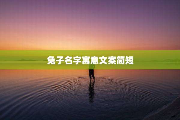 兔子名字寓意文案简短