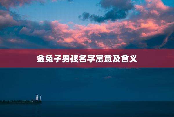 金兔子男孩名字寓意及含义